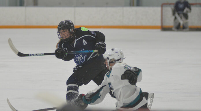 Wildcats split playoff openers with Sharks