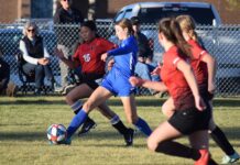 Ardens wrap up unbeaten regular season