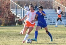 Ardens win 13th straight league title