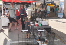 Swift Current SPCA Radiothon on Market Square