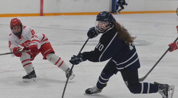 Wildcats dominate playoff opener and collect league hardware