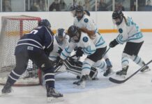 Wildcats come up just short in championship series