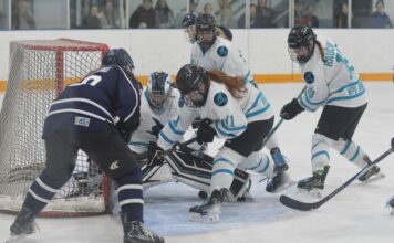 Wildcats come up just short in championship series