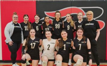 SunDogs stay busy on the court