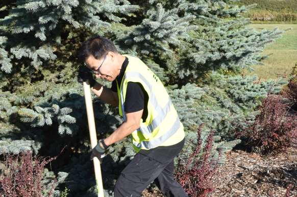 GoGreen volunteers help to make Swift Current a greener community