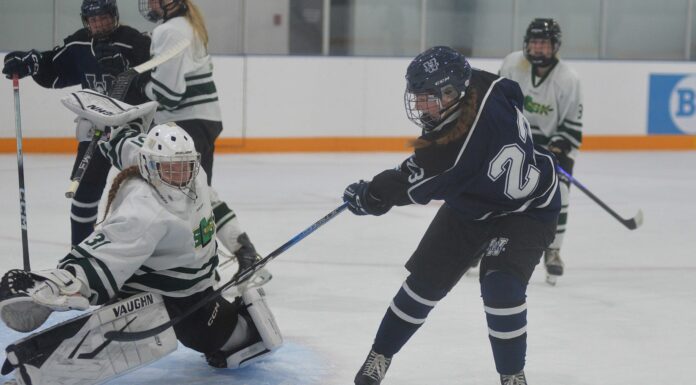 Wildcats host preseason tournament